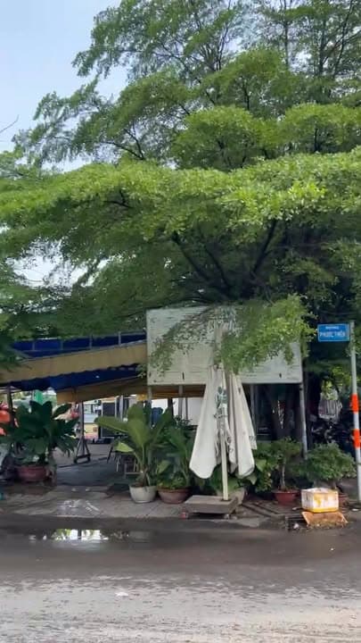 Ngộp bank bán gấp tòa nhà góc 2 mặt tiền Phước Thiện.