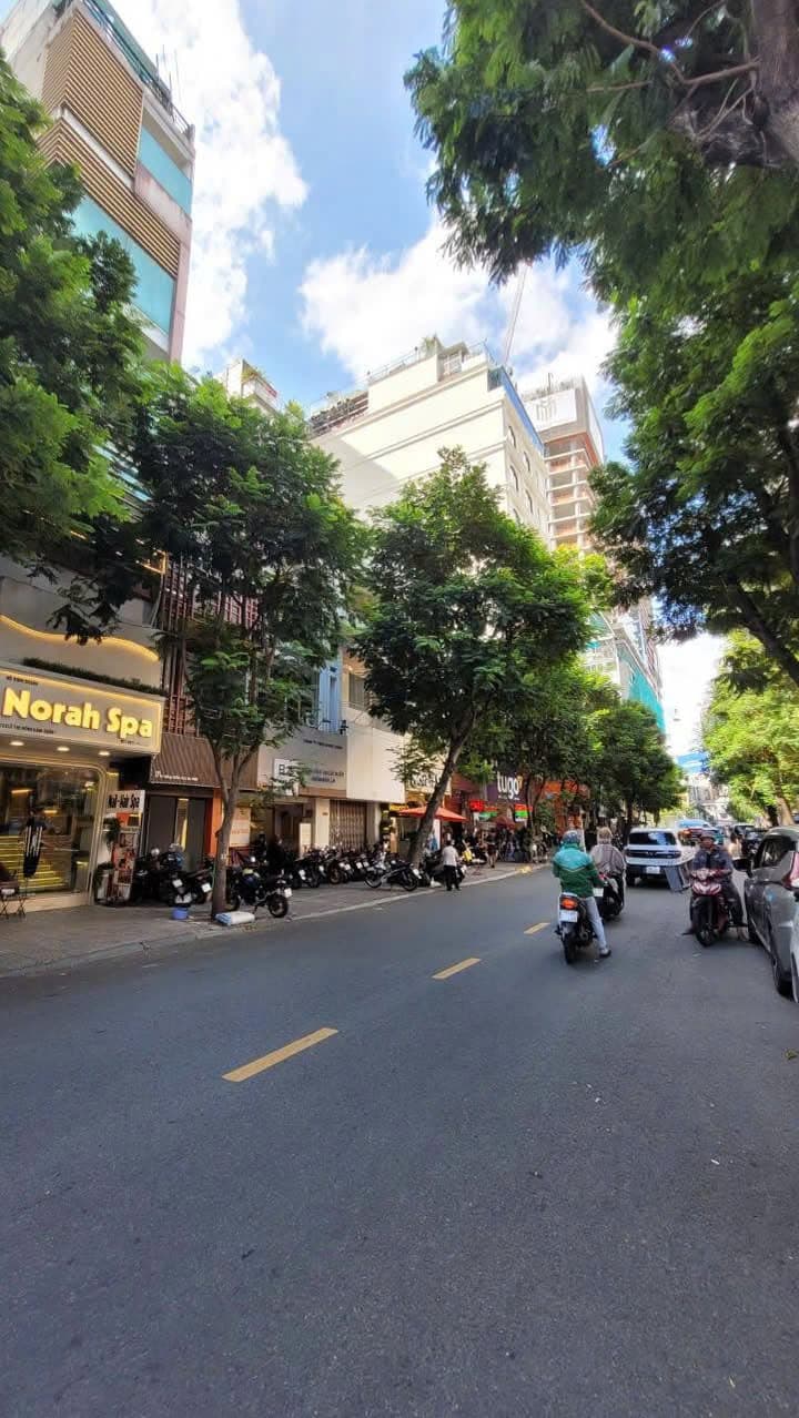 Bán nhà MT Lê Thị Hồng Gấm - P. Bến Thành - TP.HCM
